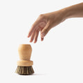 Person's hand reaching for the Field Natural Fiber Cleaning Brush, which stands upright on its stiff bristles thumbnail